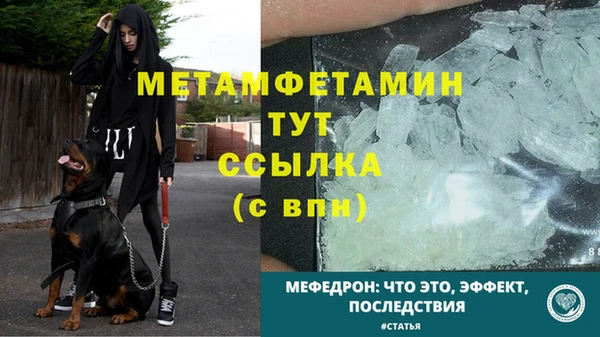 шишки Сафоново