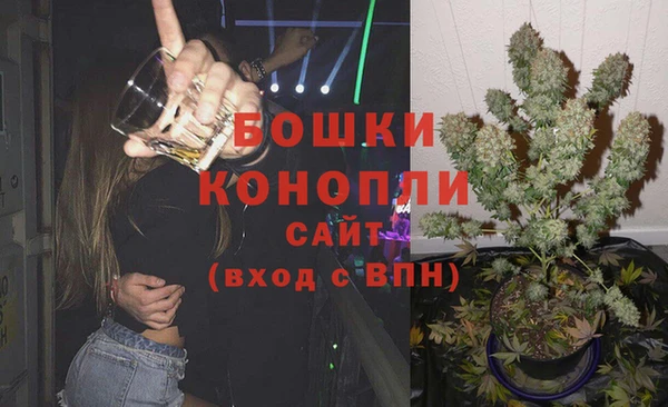 индика Вуктыл