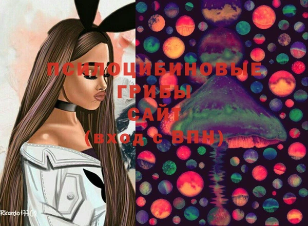 шишки Сафоново
