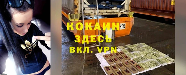 крисы Абаза